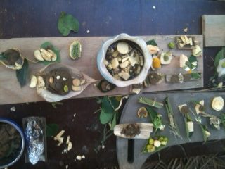 海龜國王的晚宴