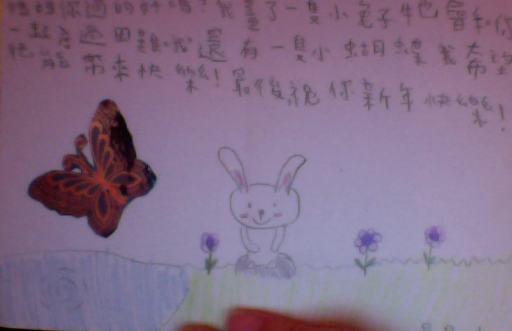 小兔子
