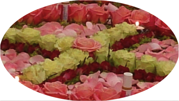 愛與美的曼陀羅