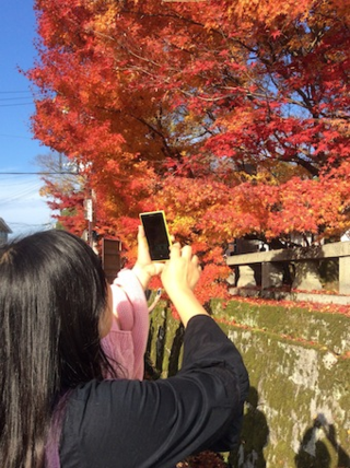 紅葉拍照