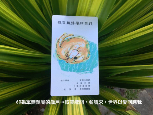 寶貝拍60孤單無歸屬的歲月