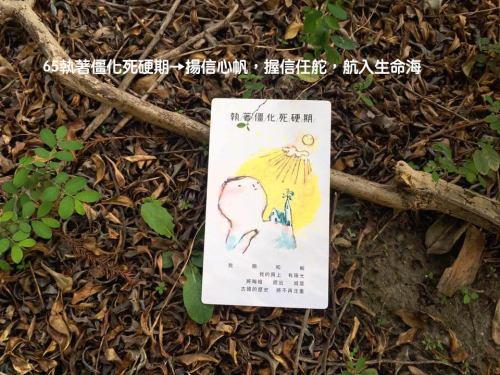 寶貝拍65執著僵化死硬期