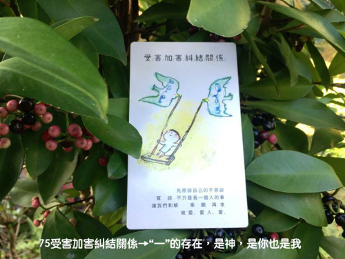 寶貝拍75受害加害糾結關係
