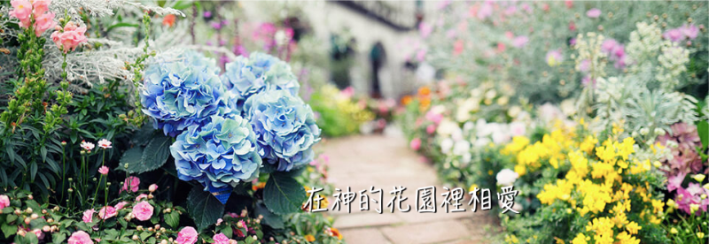 在神的花園裡相愛