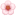 🌸